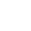 se3_icon1.png