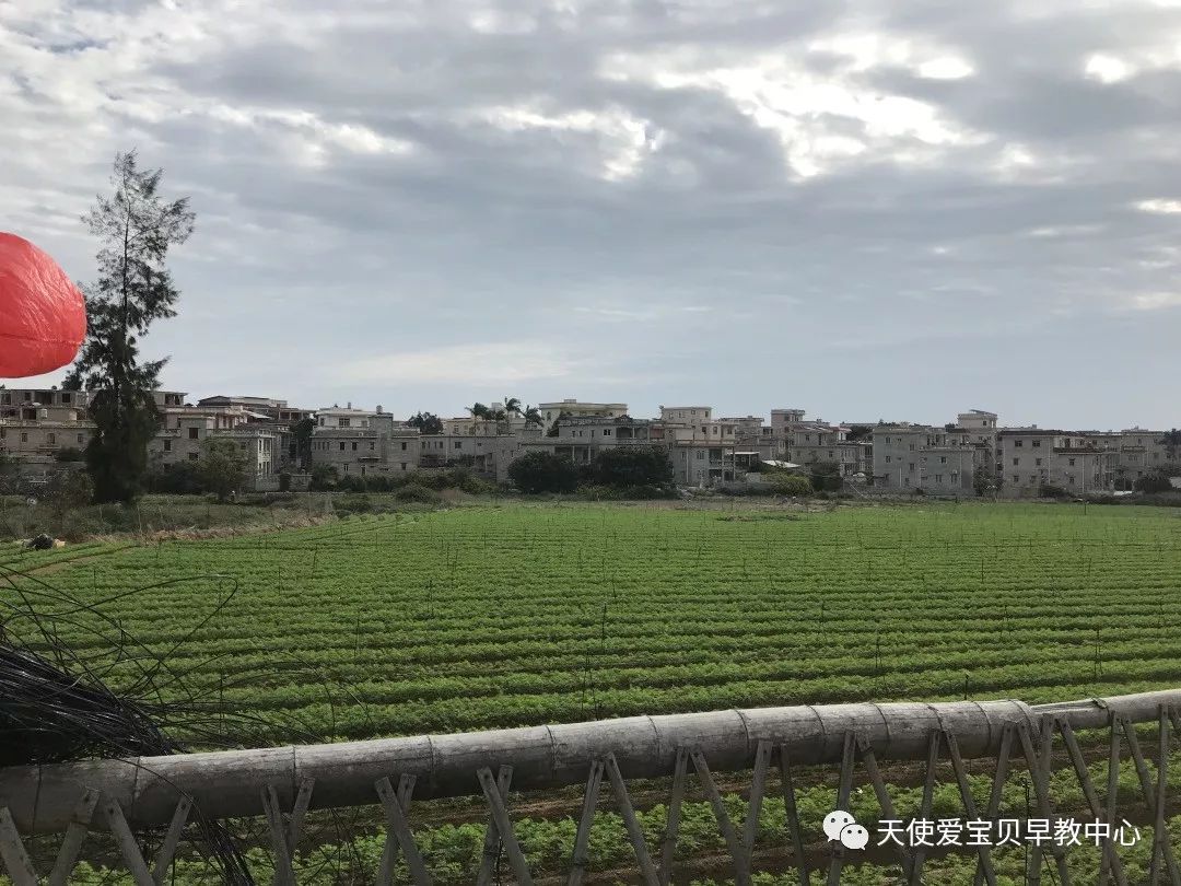 秋游花絮|天使爱宝贝早教~秋季里吹